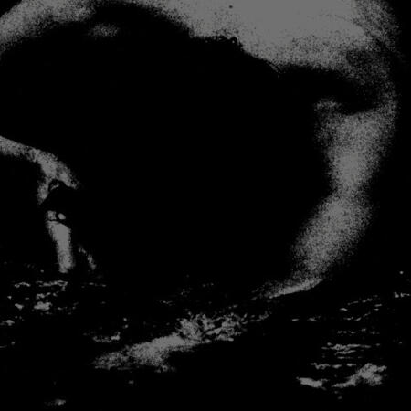 cogito